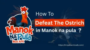 manok na pula ostrich boss