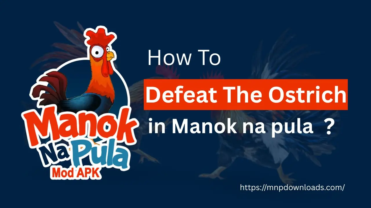 manok na pula ostrich boss