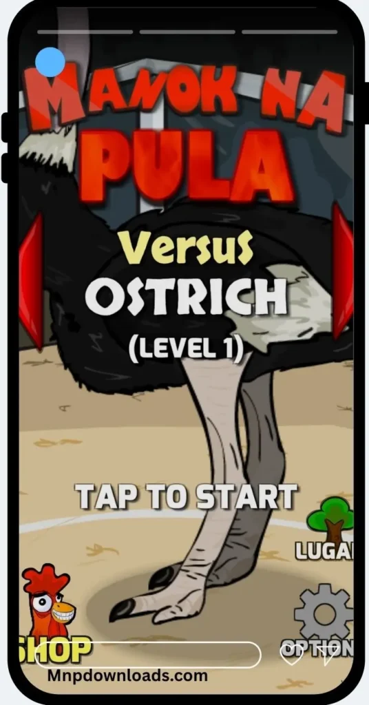 Manok vs ostrich