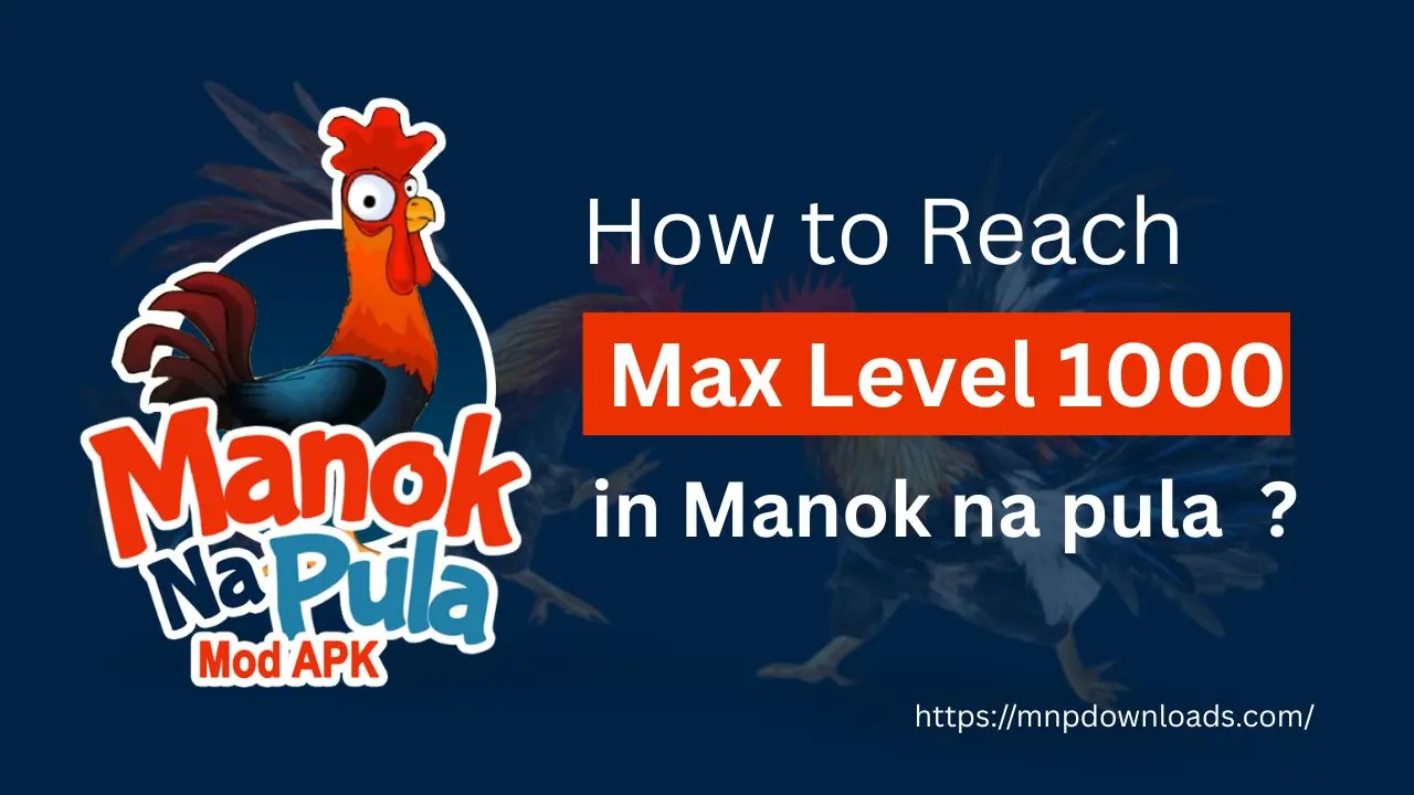 max level 1000 in manok na pula
